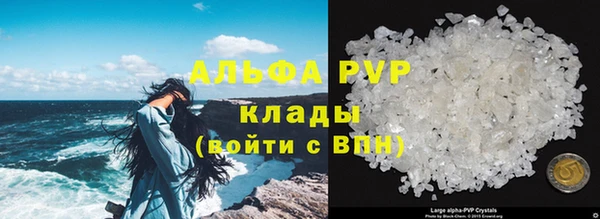стаф Горняк