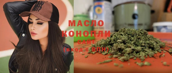молекула духа Горнозаводск