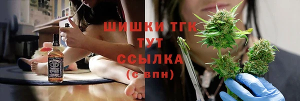 молекула духа Горнозаводск