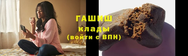 стаф Горняк