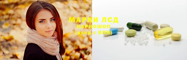 mdpv Горно-Алтайск