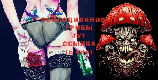 стаф Горняк