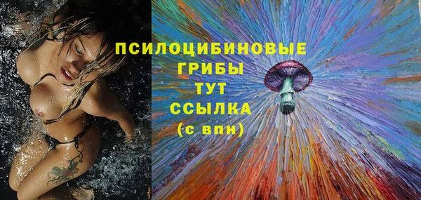 прущая мука Гусев