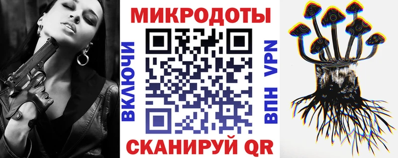 Купить  Чудово  Псилоцибиновые грибы GOLDEN TEACHER 
